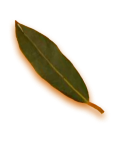 leaf