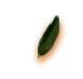 leaf5
